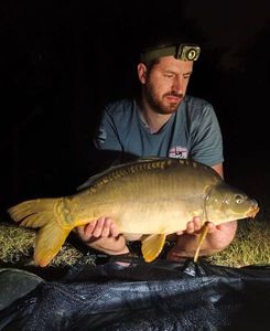 Mirror Carp