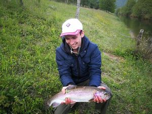 Rainbow Trout