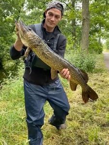 Northern Pike