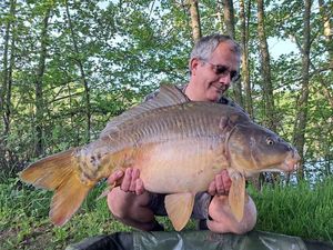 Mirror Carp