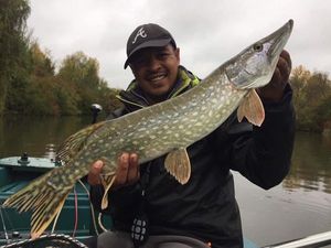 Northern Pike