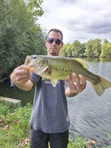 Largemouth Bass