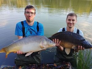 Mirror Carp