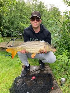 Common Carp