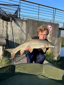 Barbel