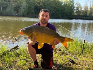 Mirror Carp