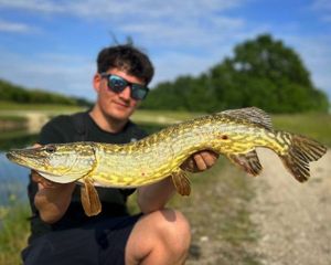 Northern Pike
