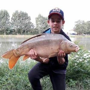 Mirror Carp
