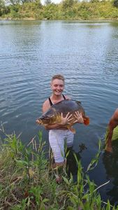Mirror Carp
