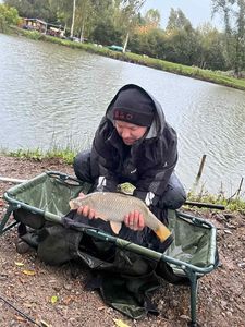Common Carp