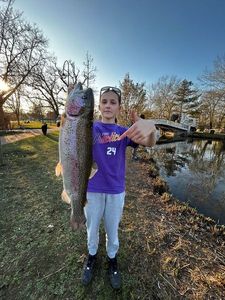 Rainbow Trout
