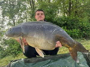 Mirror Carp