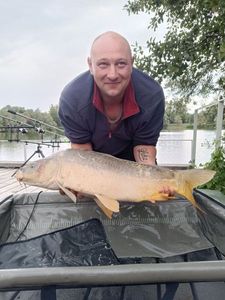 Mirror Carp