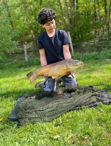 Mirror Carp