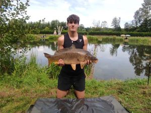 Common Carp