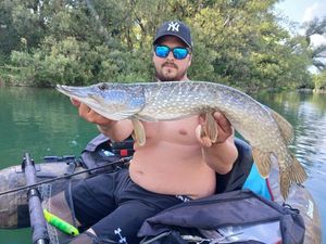 Northern Pike