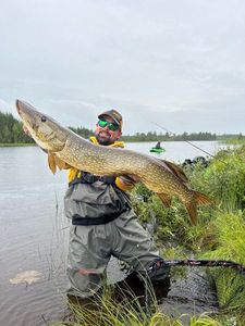 Northern Pike