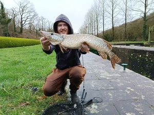 Northern Pike
