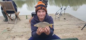 Common Carp