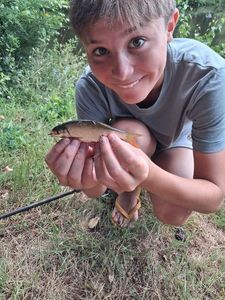 Roach