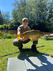 Mirror Carp