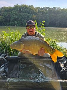Mirror Carp