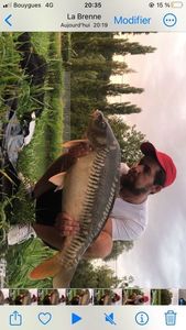 Mirror Carp