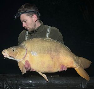 Mirror Carp