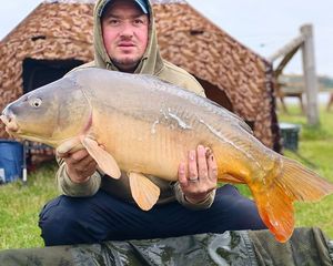 Mirror Carp