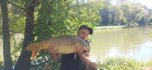Mirror Carp