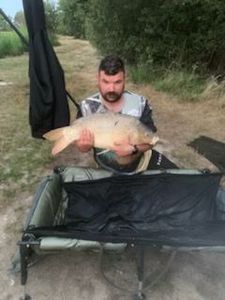 Common Carp
