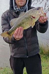 Smallmouth Bass