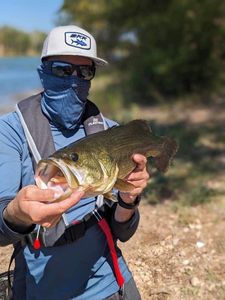 Largemouth Bass