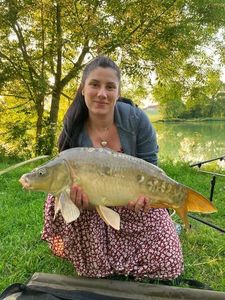 Mirror Carp