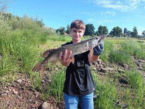 Northern Pike