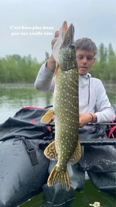 Northern Pike