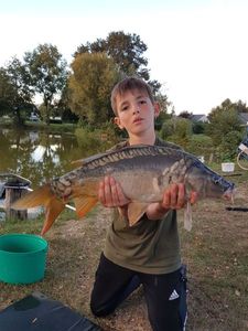 Mirror Carp