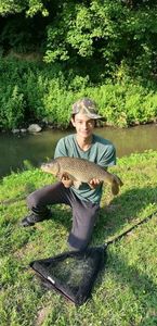 Common Carp