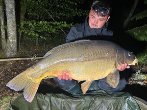 Mirror Carp