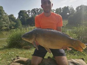 Mirror Carp