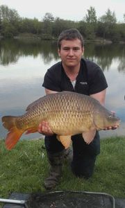 Common Carp
