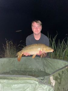Mirror Carp
