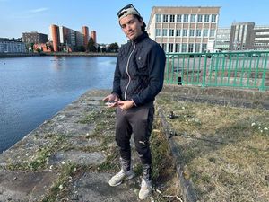 European Bass (Seabass)
