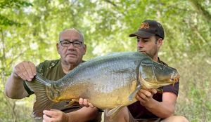 Mirror Carp