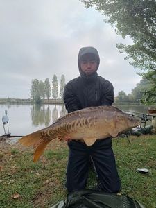 Mirror Carp