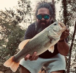 Largemouth Bass