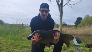 Mirror Carp