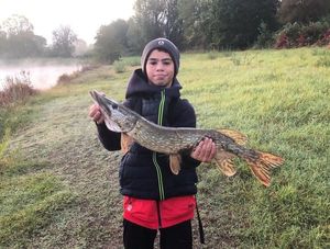 Northern Pike