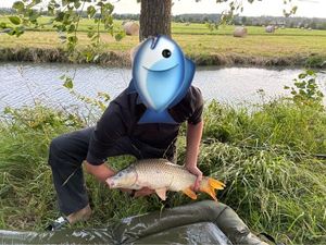 Common Carp