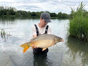 Leather Carp